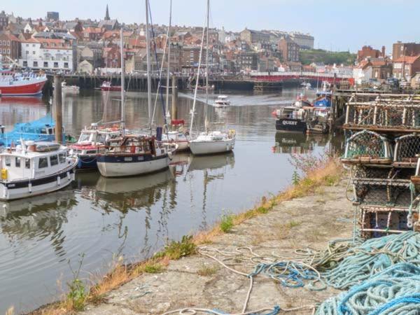 Oystercatcher Cottage Whitby Exteriér fotografie